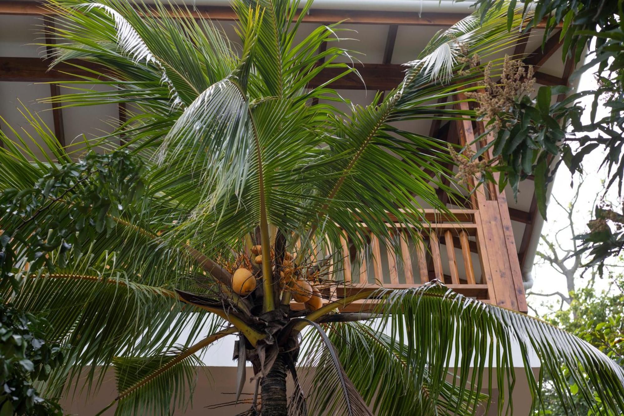Sunbird Villas Glacis  外观 照片